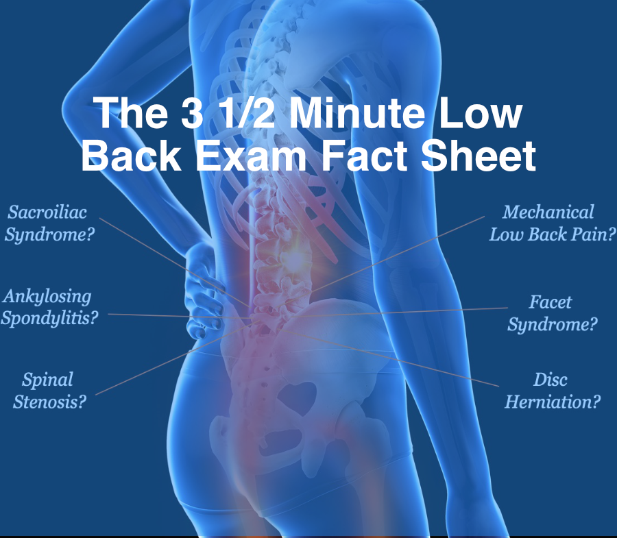 https://spinemobility.com/wp-content/uploads/2021/01/low-back-exam.png